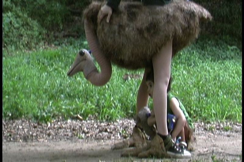 Elia – A Story of an Ostrich Chick
