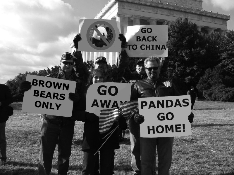 Paul Tarragó’s Paul and the Badger, Episode 5 - Panda protesters